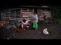 MOV01E mum coconut cutting shaving