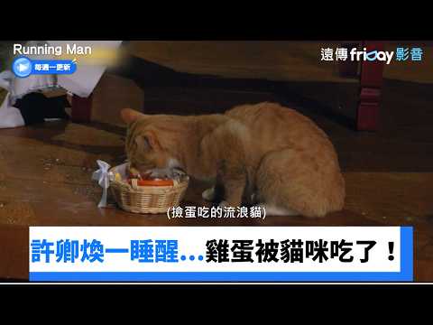 許卿煥睡醒...雞蛋被貓咪吃了！放話以後不來RM了_《Running Man》第822集_friDay影音韓綜線上看