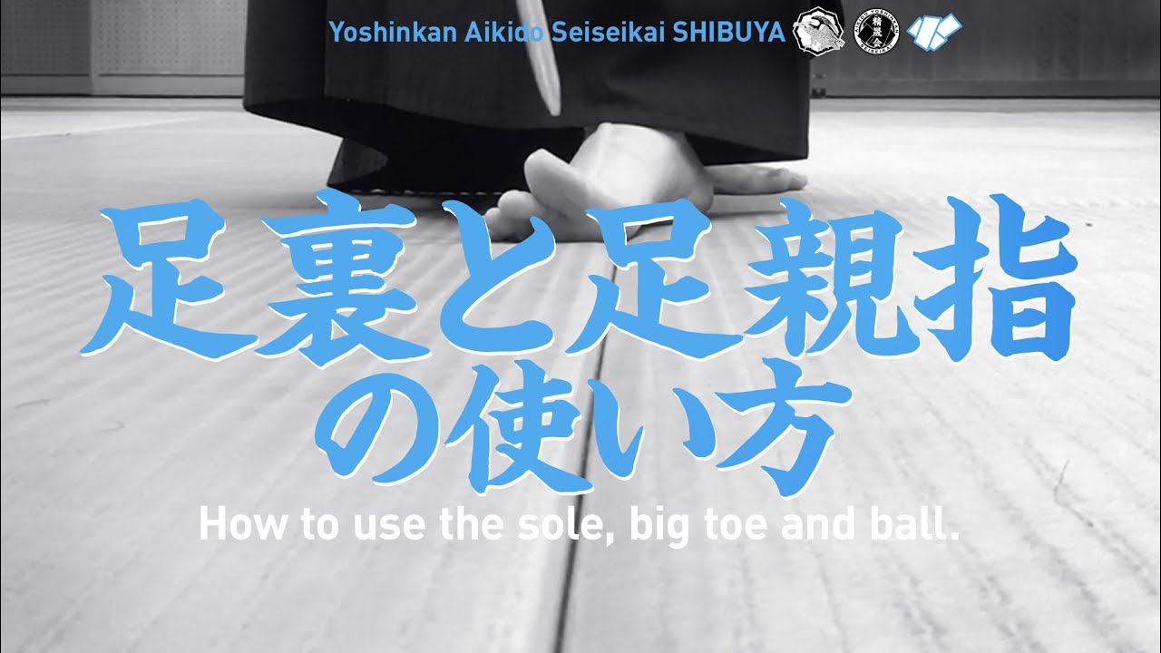 ［足裏と足親指の使い方］養神館合気道 精晟会渋谷の稽古