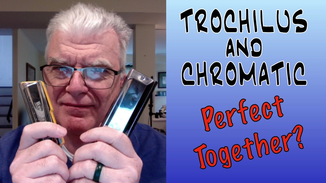 JDR Trochilus--A Game Changer Harmonica!!