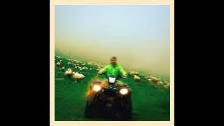 Luca Maxim - The Year Is 2023