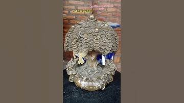 cây Tiền song cóc,trưng bày phong thủy