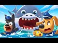 A Big Shark is Coming | Safety Cartoon | Kids Cartoon | Sheriff Labrador