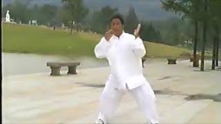 Download Lagu Chen Meng Song - Tai Chi style Chen Xinjia Yilu MP3