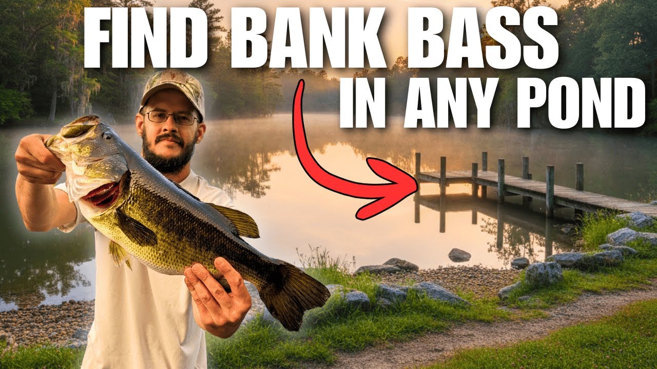 Bank Fishing Made Simple — Catch More Bass From ANY Pond