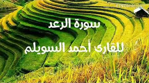 سورة الرعد للقارئ أحمد السويلم