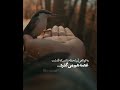 به کوتاهی آن لحظه شادی که گذشت عصه هم می گذرد کلیپ ولاگ Shorts Shortvideo Status Song Sad به کوتاهی آن لحظه شادی که گذشت عصه هم می گذرد کلیپ ولاگ Shorts Shortvideo Status Song Sad