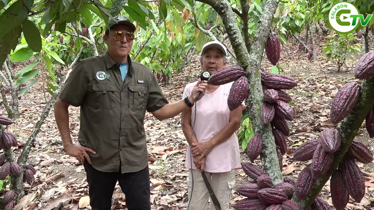 Finca demostrativa del Recinto Aguas Frías en Ventanas