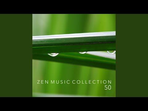 Popular Videos - Music for Deep Relaxation Meditation Academy & Sleep
