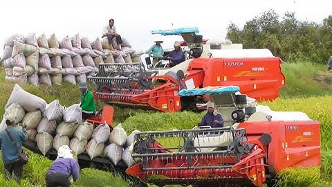 máy cắt trung quốc 130 cắt lúa nhật quá nhanh công một tấn mấy tập85#maibangtv