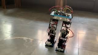 8dof biped robot version4(2)