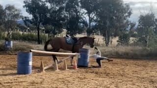 horse riding fails part 2