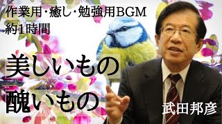 【作業用・癒し・勉強用BGM】約1時間 武田邦彦による日本とは・美しいもの醜いものについて考え方とまとめ