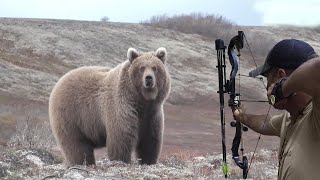 Hunting a grizzly bear with an arrow 🏹😱👌👍 Part 1