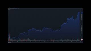 Bumpy Road Ahead For Bitcoin? CEO Reveals Predictions On BTC Possible Price Floor