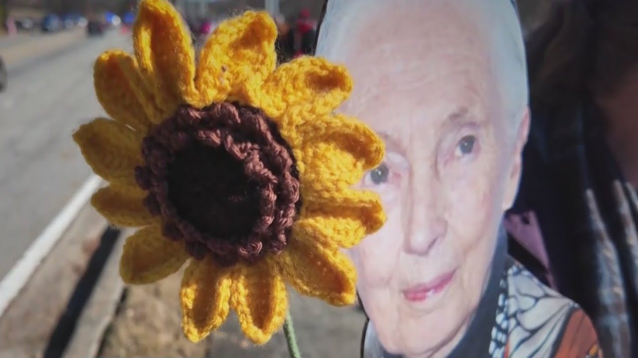 Buddhist monks draw largest crowd yet as peace walk reaches Decatur