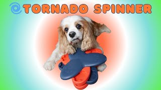 🧩 Keep Your Senior Cavalier King Charles Spaniel Busy! Frozen Food Puzzle with Dehydrated Treats 🐶 by Cavalier King Charles Spaniel Tips and Fun 964 views 1 month ago 7 minutes, 38 seconds