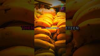 A Fungus Killed the World's Banana in 1960. We Replaced It With a Clone #shorts