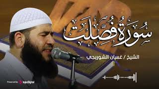 Download Lagu سورة فصلت .. تلاوة خاشعة للشيخ غسان الشوربجي MP3