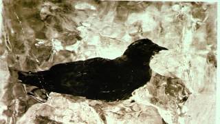 Passenger Pigeon Martha 100 Years Later  Cincinnati Zoo