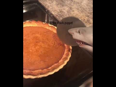video editing software free Shark puppet makes pumpkin pie