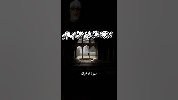 لا يغرنك تقلب الذين كفروا في البلاد '' سورة آل عمران '' الحصري