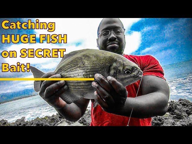 Catching HUGE FISH using my SECRET BAIT!, Danny's Big Catch!