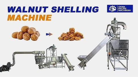 Walnut Cracking and Separate Machine|Walnut Cracking Machine|Walnut Shelling Machine