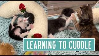 Learning to Cuddle