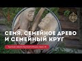 Урок 10. Семя, семейное древо и семейный круг - Русская Школа Русского Языка. Виталий Сундаков.