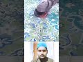 Kabutar ki ibadat masaallah  allahhuakbar viral youtubeshorts