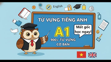 900+ Từ Vựng Tiếng Anh A1 – Có Phiên Âm & Ví Dụ | Dành Cho Người Mất Gốc (Phần 1)
