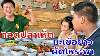 ทอดปลาเห็ด มะเขือยาวผัดโหระพา เมนูโปรดและอร่อยโดนใจ | สไตล์นายแทน