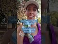 Bee Sanctuary Volunteering