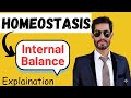 Homeostasis Explained | Thermoregulation, Osmoregulation &amp; Excretion (Biology Made Easy)