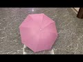 Video Image