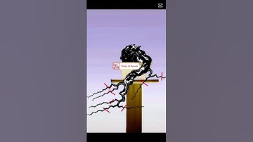 Bạn Đã Biết Cách Nuôi Và Cắt Tỉa Chi Cành Chưa ? #caycanh #bonsai #xuhuong