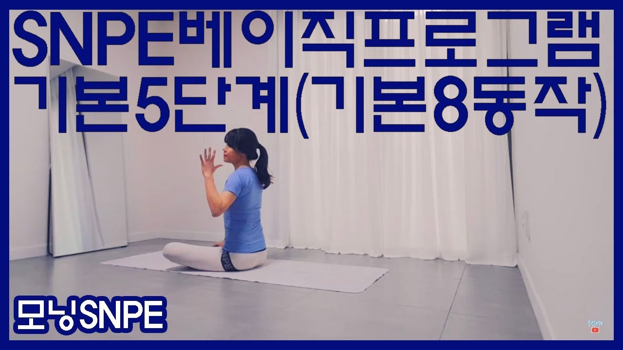 SNPE바른자세척추운동 베이직프로그램 기본5단계(SNPE1번, SNPE2번, SNPE3번, SNPE4번, C무브, T무브, L무브, SC무브 모두 포함)