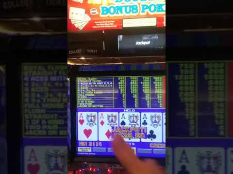 Máquinas traga monedas la nueva sensación #tragamonedas #juegos #apuestas #maquina #viral