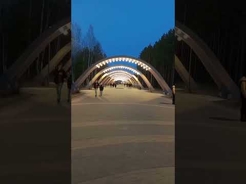 Сургут/Кедровый лог.