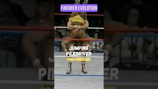 Every FINISHER of Paul Orndorff !