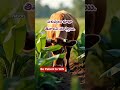 Life#viral#shortvideo#shorts#plz_subscribe_my_channel #trending#inspiration#astro#music#inspiration