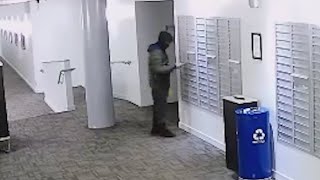 Arrest of Burglary Suspect at Apartment Building
