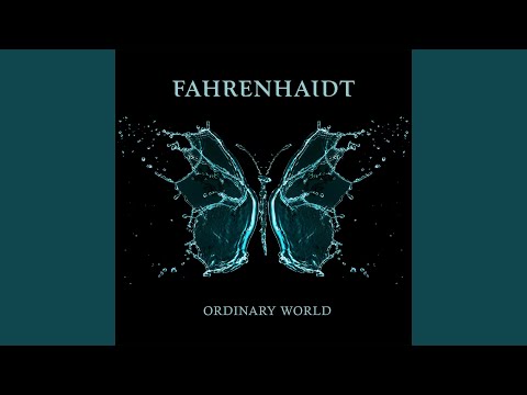 Ordinary World