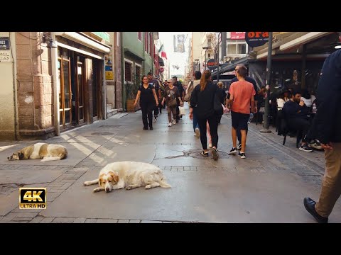 Izmir, 튀르키예 | İzmir | 활기찬 도시 산책 4K