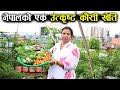 नेपालको एक उत्कृष्ट कौसी खेति ! किसानको शिरमा ताज ! - Roof top vegetable farming in Nepal