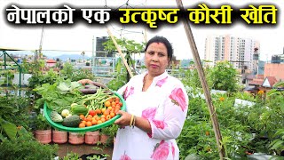 नेपालको एक उत्कृष्ट कौसी खेति ! किसानको शिरमा ताज ! - Roof top vegetable farming in Nepal