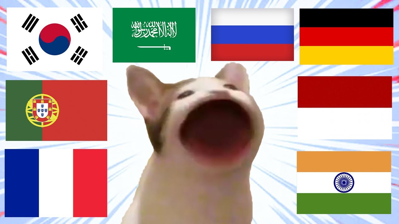 Pop Cat in different languages meme - YouTube