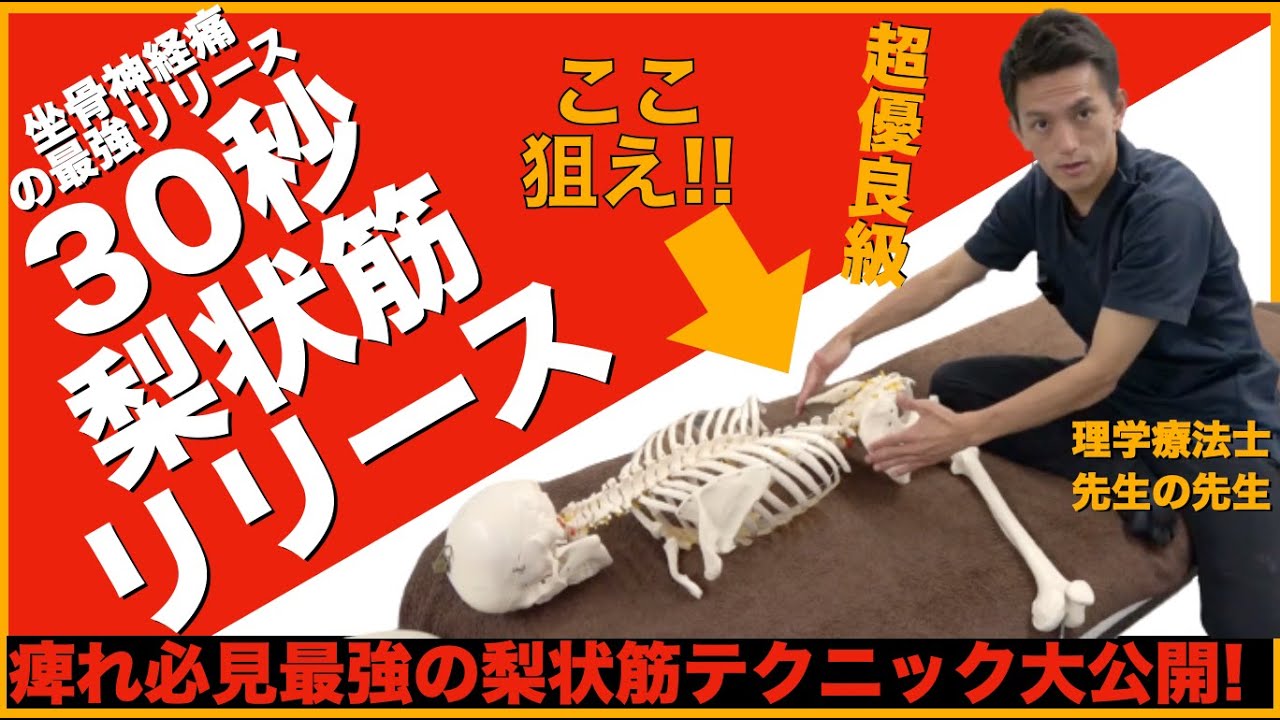 AKS療法 DVD 4枚組+梨状筋筋細胞リリース+AKSセルフ施術 2025年最新】AKS療法の人気アイテム - メルカリ