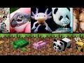 実際の生活の中でMinecraftの赤ちゃん動物「比較」